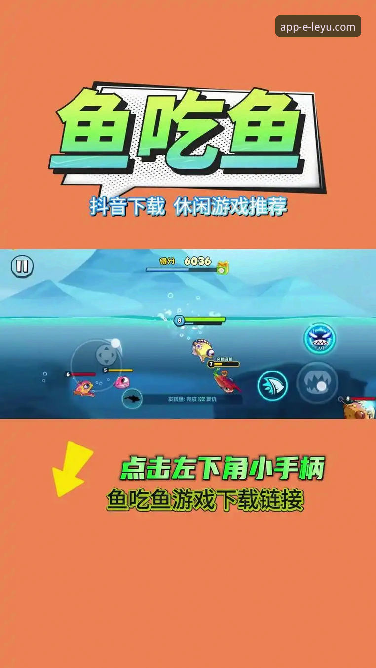乐鱼app版本更新实用指南：从下载到安装的完整攻略