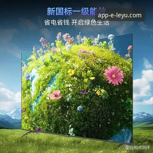 乐鱼体育平台苹果版下载功能深度评测：从获取到体验的全链路解析